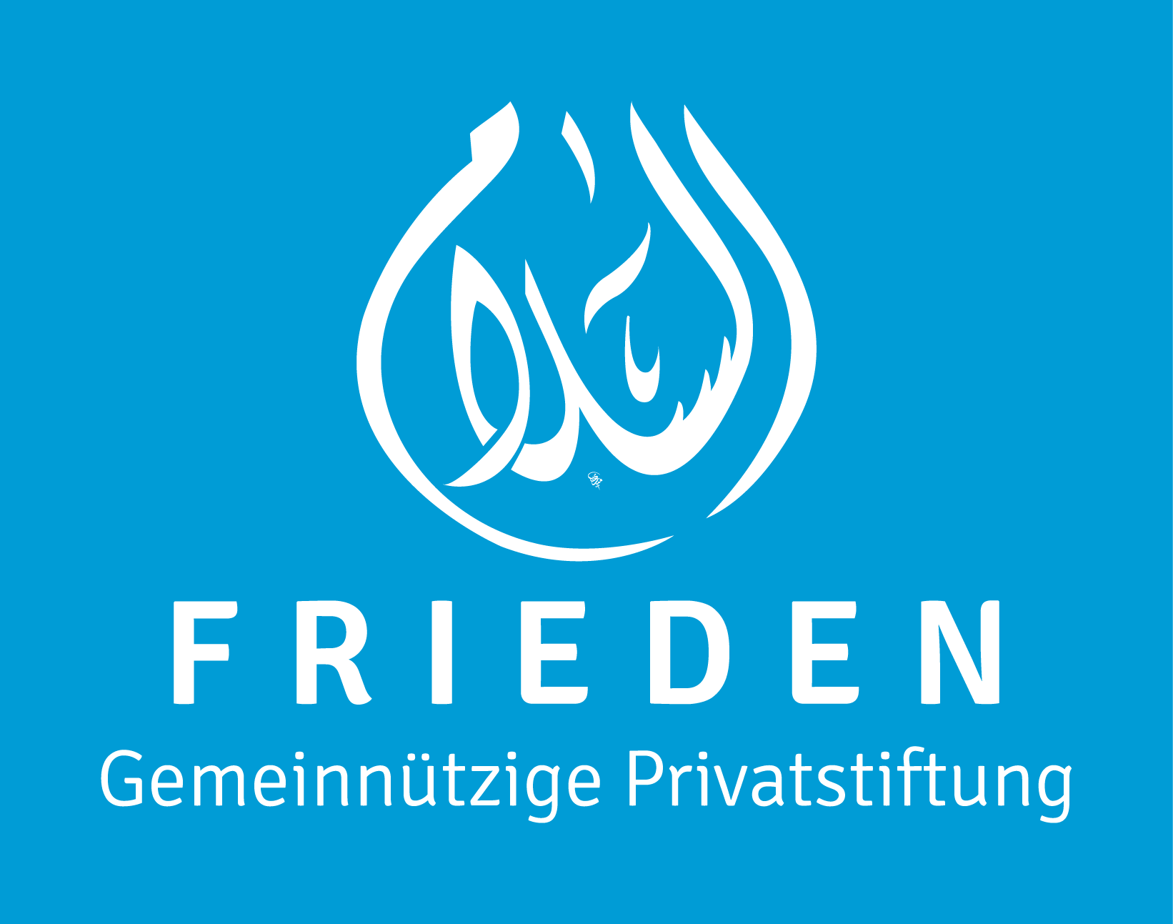 Logo Gemeinnützige Privatstiftung - Frieden 